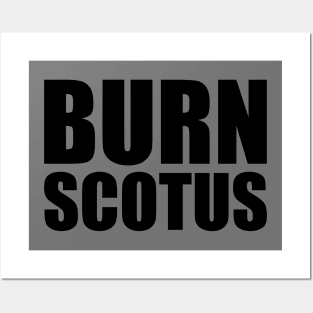 Burn SCOTUS Posters and Art